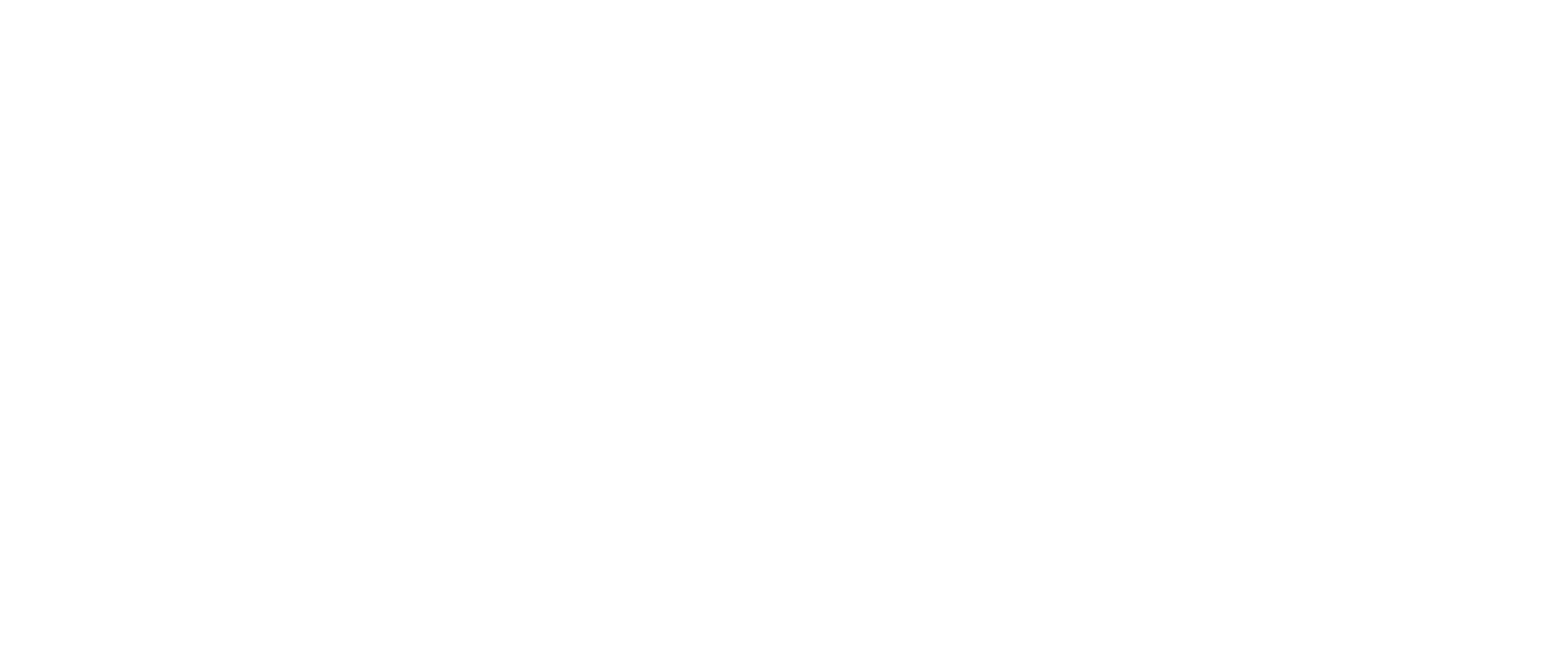 Celink logo white